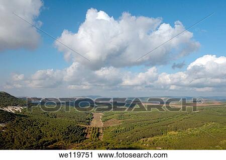 Ai-Petri Ay Petri peak, Crimean Mountains, Crimea, Ukraine, Eastern Europe View Large Photo Image Stock Image - Ai-Petri Ay Petri peak, Crimean Mountains, Crimea, Ukraine, Eastern Europe. Fotosearch