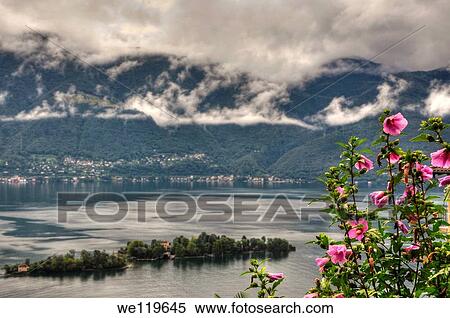 Alpine lake with island and sky with clouds and flowers View Large Photo Image Stock Photography - Alpine lake with island and sky with clouds and flowers. Fotosearch