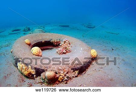 Automobile tire underwater on sandy sea bottom, Red Sea, Egypt, Africa View Large Photo Image Stock Photograph - Automobile tire underwater on sandy sea bottom, Red Sea, Egypt, Africa. Fotosearch