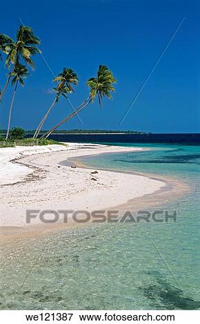 Stock Photo - Beach at Wakatobi Indonesia. Fotosearch