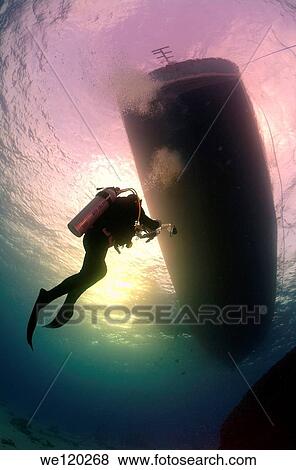 cameraman and diving-boat, Red sea, Egypt View Large Photo Image Stock Photo - cameraman and diving-boat, Red sea, Egypt. Fotosearch