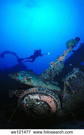 Stock Photo - Diver and artillery of Nippo Maru in Truk Lagoon. Fotosearch