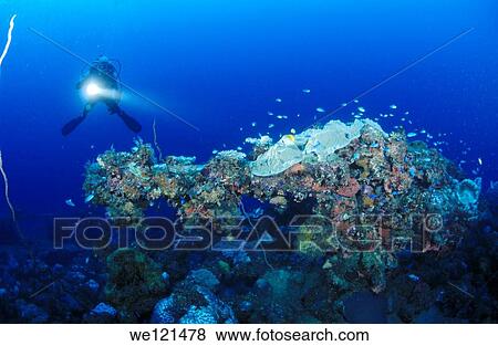 Diver and deck gun of Unkai Maru in Truk Lagoon View Large Photo Image Stock Photo - Diver and deck gun of Unkai Maru in Truk Lagoon. Fotosearch