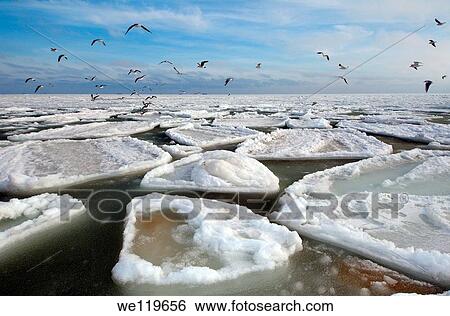 Frozen Black Sea, a rare phenomenon, occured in 1977 for the last time, Odessa, Ukraine, Eastern Europe View Large Photo Image Stock Photograph - Frozen Black Sea, a rare phenomenon, occured in 1977 for the last time, Odessa, Ukraine, Eastern Europe. Fotosearch