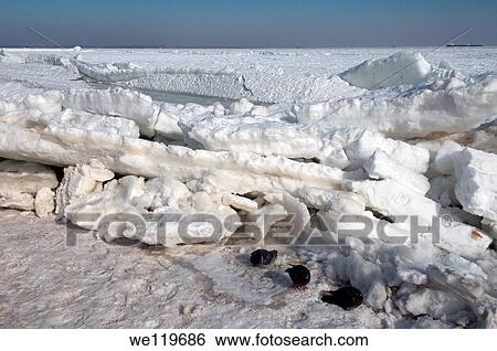 Frozen Black Sea, a rare phenomenon, occured in 1977 for the last time, Odessa, Ukraine, Eastern Europe View Large Photo Image Stock Photograph - Frozen Black Sea, a rare phenomenon, occured in 1977 for the last time, Odessa, Ukraine, Eastern Europe. Fotosearch
