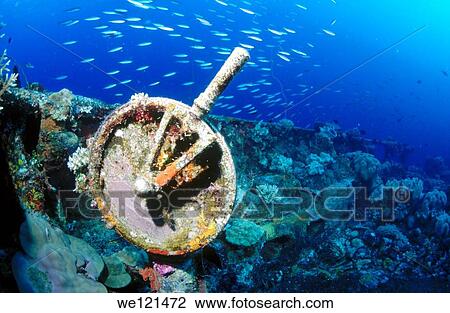 Fujikawa Maru ship´s telegraph in Truk Lagoon View Large Photo Image Stock Image - Fujikawa Maru ship´s telegraph in Truk Lagoon. Fotosearch