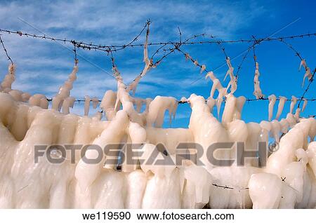 Icy barbed wire, frozen Black Sea, a rare phenomenon, occured in 1977 for the last time, Odessa, Ukraine, Eastern Europe View Large Photo Image Stock Image - Icy barbed wire, frozen Black Sea, a rare phenomenon, occured in 1977 for the last time, Odessa, Ukraine, Eastern Europe. Fotosearch