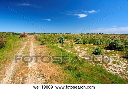 Landscape on Yermakov island, Ukraine, Eastern Europe View Large Photo Image Stock Photo - Landscape on Yermakov island, Ukraine, Eastern Europe. Fotosearch