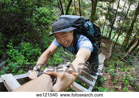 man climbing ladder in forest, West Coast Trail, British Columbia, Canada View Large Photo Image Stock Image - man climbing ladder in forest, West Coast Trail, British Columbia, Canada. Fotosearch