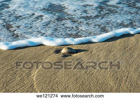 Ocean meets beach, Massachusetts,, USA View Large Photo Image Picture - Ocean meets beach, Massachusetts,, USA. Fotosearch