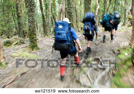 Stock Photo - Overland Track Tasmania Australia. Fotosearch