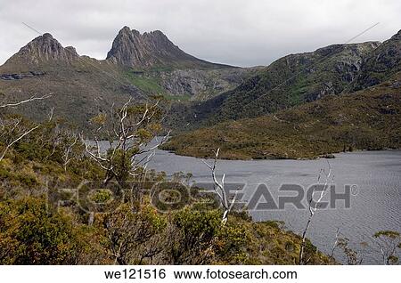 Overland Track Tasmania Australia View Large Photo Image Stock Photograph - Overland Track Tasmania Australia. Fotosearch
