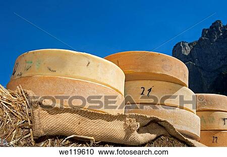 Piles of Swiss alpine cheese truckles for distribution at the Chästeilet event in the Justis Valley, Beatenberg, Switzerland View Large Photo Image Stock Image - Piles of Swiss alpine cheese truckles for distribution at the Chästeilet event in the Justis Valley, Beatenberg, Switzerland. Fotosearch