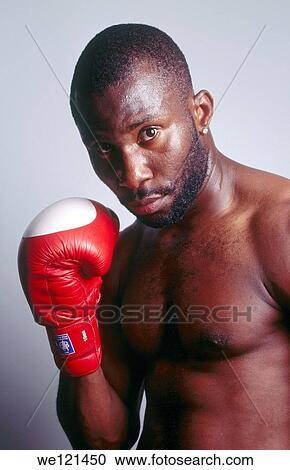 Portrait of boxer View Large Photo Image Stock Image - Portrait of boxer. Fotosearch