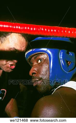 Portrait of boxer View Large Photo Image Stock Photo - Portrait of boxer. Fotosearch