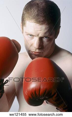 Portrait of boxer View Large Photo Image Stock Photography - Portrait of boxer. Fotosearch