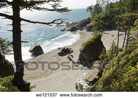 Secluded beach, West Coast Trail, British Columbia, Canada View Large Photo Image Stock Photo - Secluded beach, West Coast Trail, British Columbia, Canada. Fotosearch