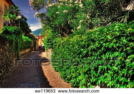 Tight alley with green plants View Large Photo Image Stock Image - Tight alley with green plants. Fotosearch