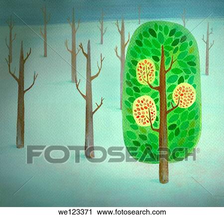 A blooming tree standing out add from bare trees View Large Photo Image Stock Image - A blooming tree standing out add from bare trees. Fotosearch