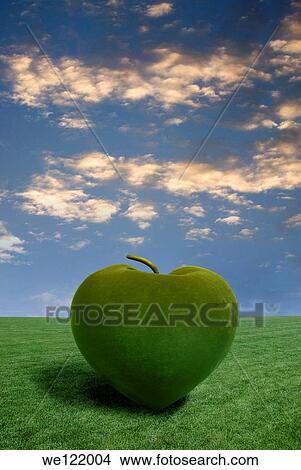 Grass rendering an apple View Large Photo Image Picture - Grass rendering an apple. Fotosearch