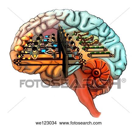 Group of people working in human brain View Large Photo Image Picture - Group of people working in human brain. Fotosearch