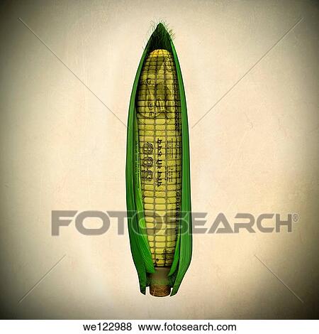 Indian currency on corn on the cob depicting agricultural business View Large Photo Image Stock Photo - Indian currency on corn on the cob depicting agricultural business. Fotosearch