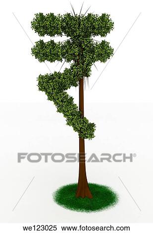 Indian Rupee tree on white background View Large Photo Image Stock Photography - Indian Rupee tree on white background. Fotosearch