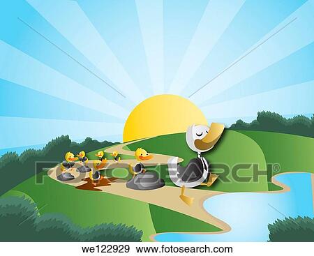 Little chicks following the duck View Large Photo Image Stock Photo - Little chicks following the duck. Fotosearch