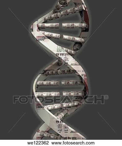 Money DNA strand View Large Photo Image Stock Image - Money DNA strand. Fotosearch