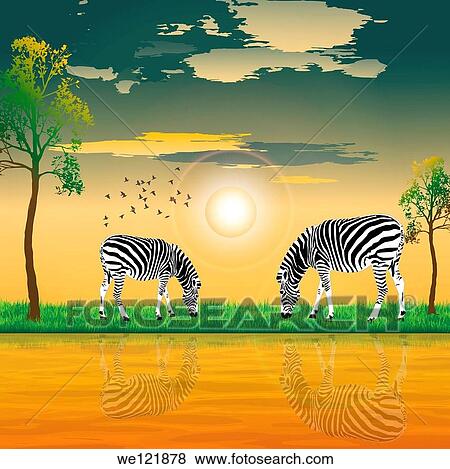 Two zebras grazing on riverbank View Large Photo Image Stock Photo - Two zebras grazing on riverbank. Fotosearch