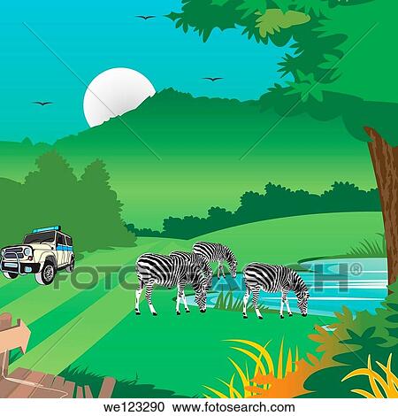 Stock Image - Zebras with a jeep in a forest. Fotosearch