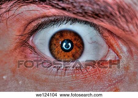 Extreme Closeup Of A Human Eye Brown Picture We124104 Fotosearch