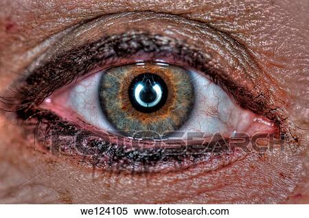 Extreme closeup of a human eye green. View Large Photo Image Stock Photography - Extreme closeup of a human eye green.. Fotosearch