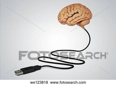 Illustration of human brain connected with USB cable over gray background. View Large Photo Image Stock Photo - Illustration of human brain connected with USB cable over gray background.. Fotosearch