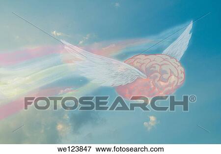 Illustrative image of flying brain representing freedom of thinking. View Large Photo Image Stock Photo - Illustrative image of flying brain representing freedom of thinking.. Fotosearch