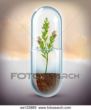Illustrative image of plant growing in capsule representing natural medicine. View Large Photo Image Stock Photo - Illustrative image of plant growing in capsule representing natural medicine.. Fotosearch