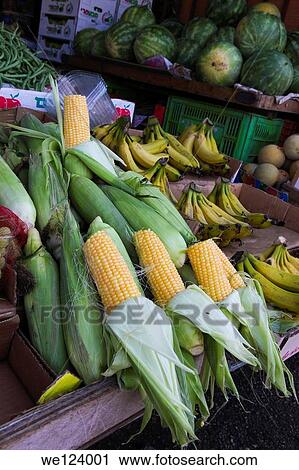 Stall selling fresh corn on the cob Photographed at the Carmel Market, Tel Aviv, Israel. View Large Photo Image Stock Image - Stall selling fresh corn on the cob Photographed at the Carmel Market, Tel Aviv, Israel.. Fotosearch