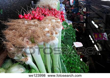 Stall selling leeks and radishes Photographed at the Carmel Market, Tel Aviv, Israel. View Large Photo Image Stock Photo - Stall selling leeks and radishes Photographed at the Carmel Market, Tel Aviv, Israel.. Fotosearch