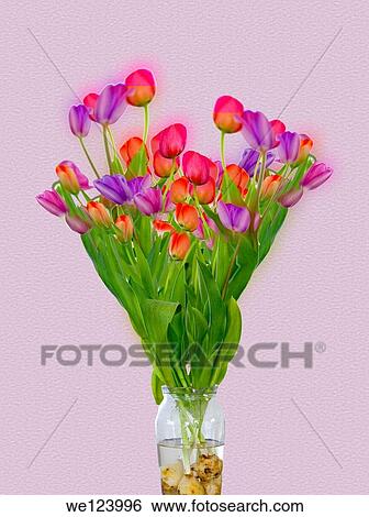 Stock Photograph - Tulips in a transparent glass vase of water Digitally manipulated.. Fotosearch