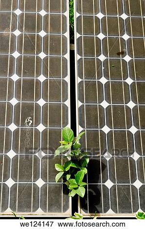 Concept of solar panel. Green energy. Poona, Maharashtra, India. View Large Photo Image Stock Photo - Concept of solar panel. Green energy. Poona, Maharashtra, India.. Fotosearch