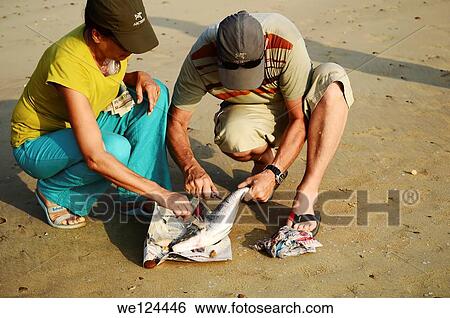 Stock Photograph - Fish cleaning on a beach, Goa India.. Fotosearch