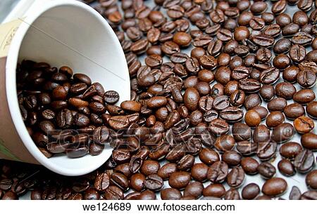 Coffe beans and coffee cup. View Large Photo Image Stock Photo - Coffe beans and coffee cup.. Fotosearch