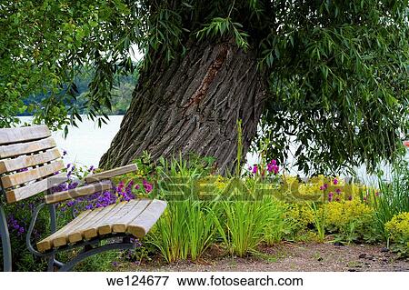 Stock Photo - Empty wooden bench in the city park.. Fotosearch