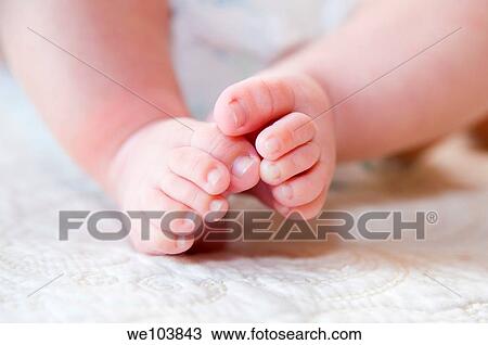 6 month old baby feet View Large Photo Image Stock Image - 6 month old baby feet. Fotosearch