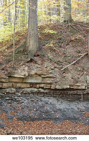 A layered hillside along a steam in the Fall View Large Photo Image Stock Photography - A layered hillside along a steam in the Fall. Fotosearch
