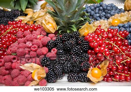 A variety of luscious fruit berries View Large Photo Image Stock Photography - A variety of luscious fruit berries. Fotosearch