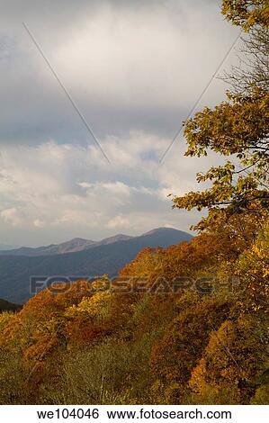 Autumn, Great Smoky Mountains National Park, TN-NC View Large Photo Image Stock Photograph - Autumn, Great Smoky Mountains National Park, TN-NC. Fotosearch