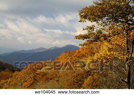 Stock Photography - Autumn, Great Smoky Mountains National Park, TN-NC. Fotosearch