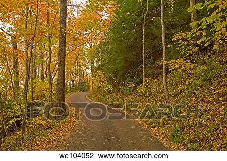 Autumn, Motor Nature Trail, Great Smoky Mountains Natonal Park, Tennessee View Large Photo Image Stock Image - Autumn, Motor Nature Trail, Great Smoky Mountains Natonal Park, Tennessee. Fotosearch