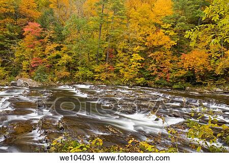 Autumn, Tellico River, Cherokee National Forest, TN View Large Photo Image Picture - Autumn, Tellico River, Cherokee National Forest, TN. Fotosearch